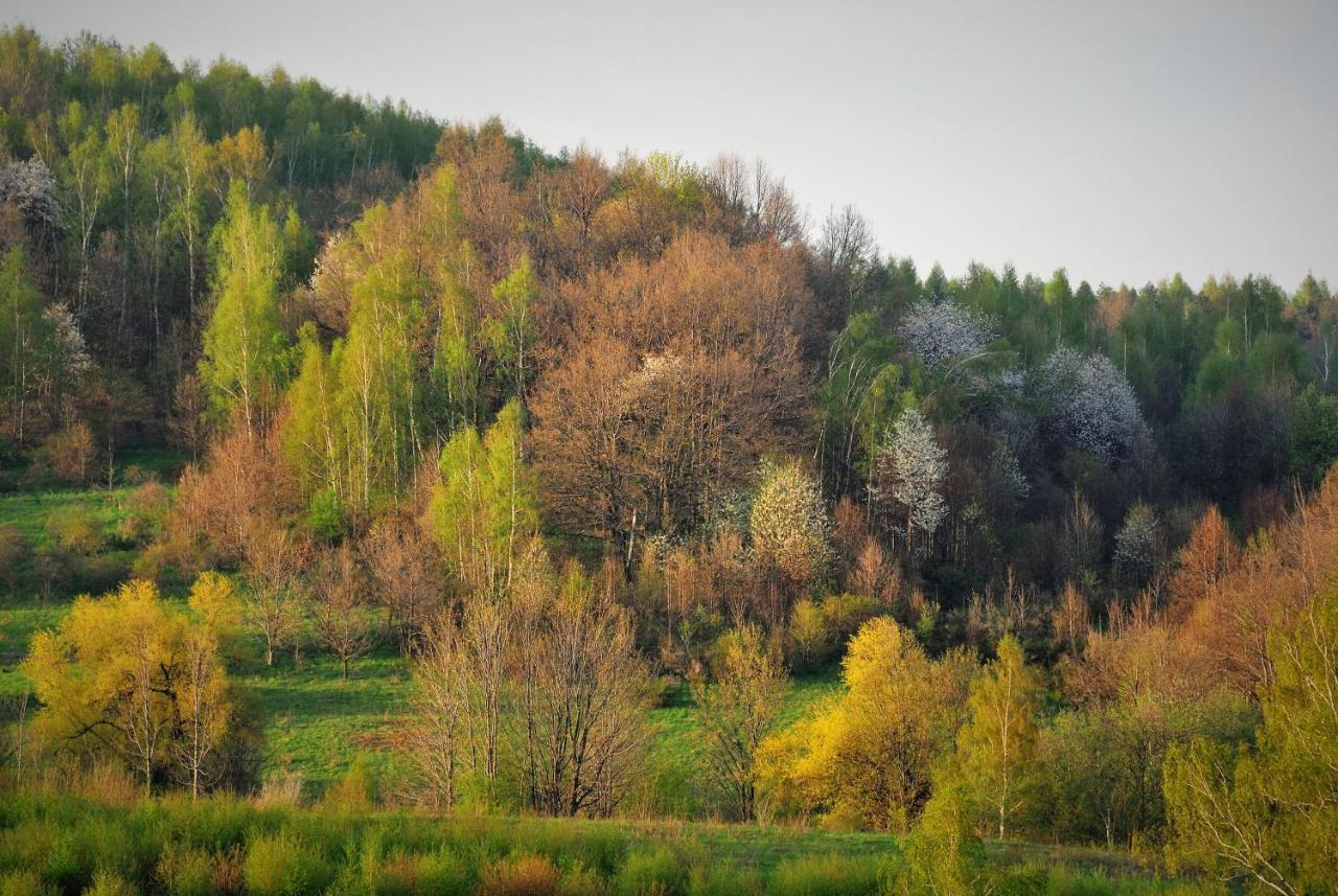 Przytulne Studio Borówkowy Zagajnik Piechowice  Zewnętrze zdjęcie