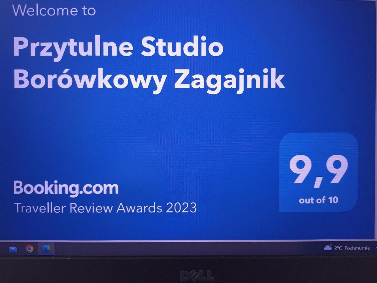 Przytulne Studio Borówkowy Zagajnik Piechowice  Zewnętrze zdjęcie
